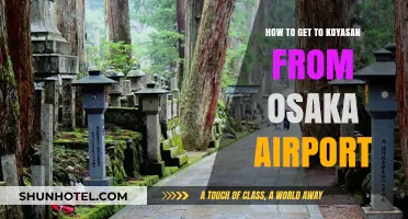 Travel Guide: Osaka Airport to Koyasan – Easy Transportation Tips