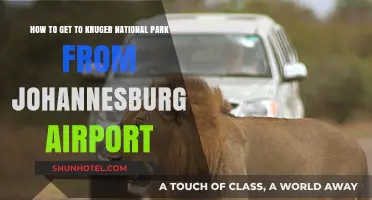 Travel Guide: Johannesburg Airport to Kruger National Park Easily