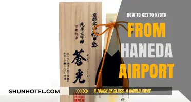 Travel Guide: Haneda Airport to Kyoto - Easy Transport Options