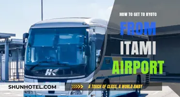 Travel Guide: Easy Transport Options from Itami Airport to Kyoto