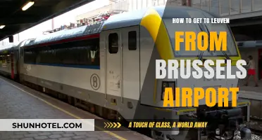 Traveling from Brussels Airport to Leuven: Easy Transport Options
