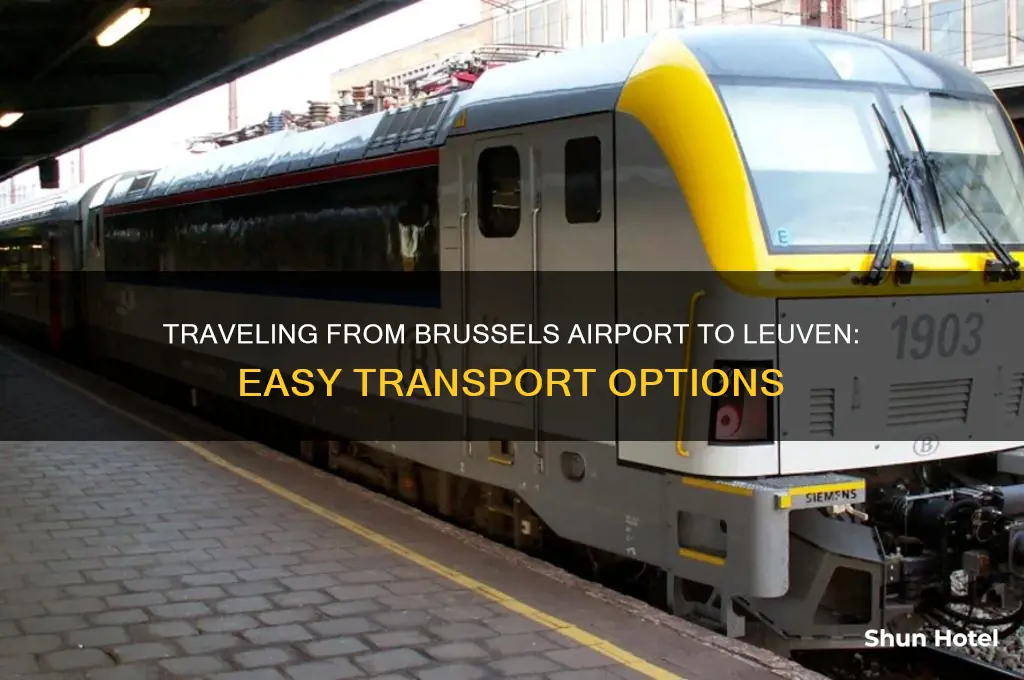 how to get to leuven from brussels airport