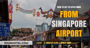 Travel Guide: Singapore Airport to Little India - Easy Route Tips