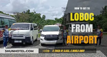 Travel Guide: Easy Airport to Loboc Transfer Tips and Routes
