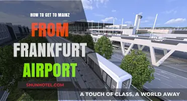Travel Guide: Easy Frankfurt Airport to Mainz Transport Options