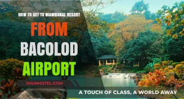 Travel Guide: Mambukal Resort from Bacolod Airport Made Easy