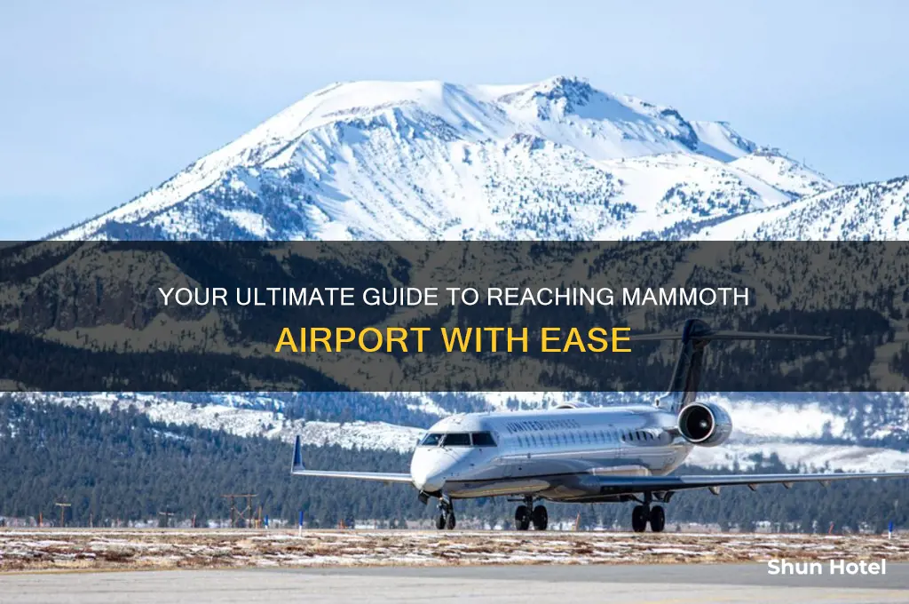 how to get to mammoth airport