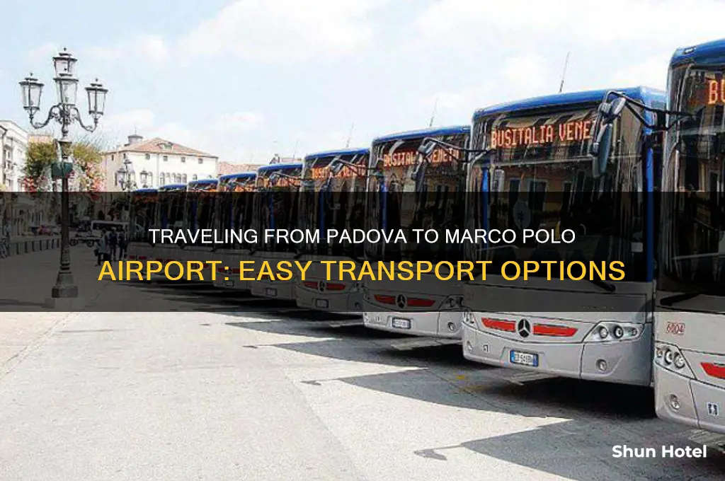 how to get to marco polo airport from padova