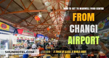 Quick Guide: Changi Airport to Maxwell Food Centre Travel Tips