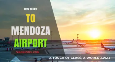 Easy Guide to Reaching Mendoza Airport Stress-Free and On-Time