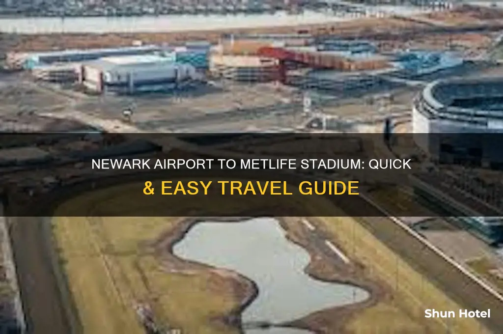 how to get to metlife stadium from newark airport