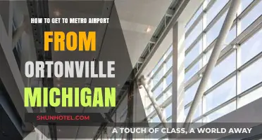 Ortonville to Metro Airport: Quick & Easy Travel Guide