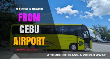 Travel Guide: Cebu Airport to Moalboal - Easy Transportation Tips