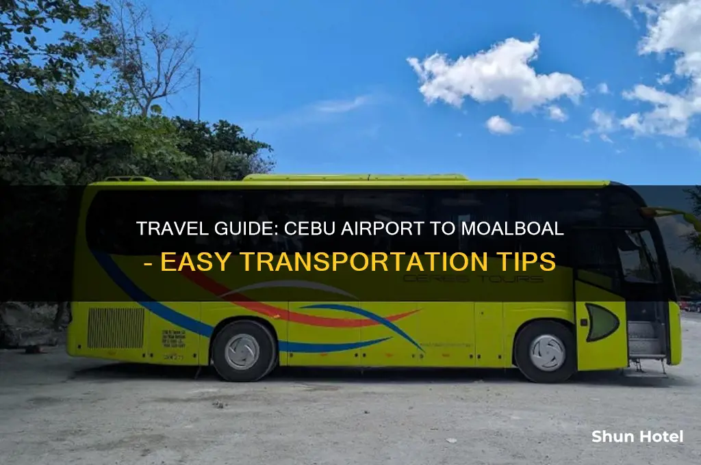 how to get to moalboal from cebu airport