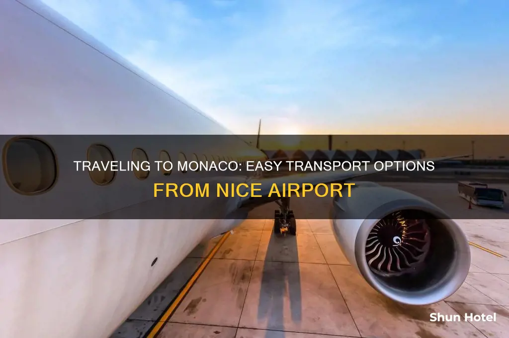 how to get to monaco from nice airport