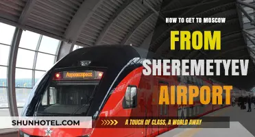 Traveling from Sheremetyevo Airport to Moscow: Easy Transport Options