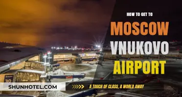 Easiest Ways to Reach Moscow Vnukovo Airport: A Quick Guide