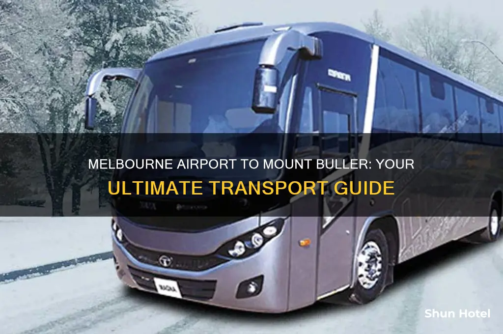 how to get to mount buller from melbourne airport