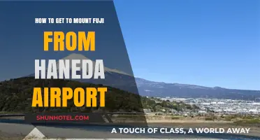 Travel Guide: Haneda Airport to Mount Fuji - Easy Route Tips