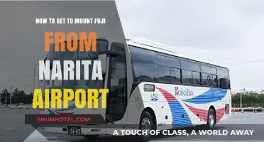 Travel Guide: Narita Airport to Mount Fuji – Easy Transport Tips