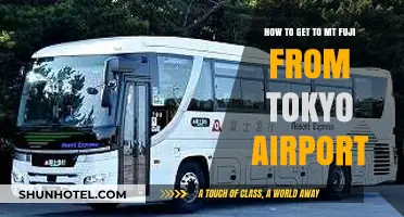 Travel Guide: Tokyo Airport to Mt. Fuji - Easy Transport Tips