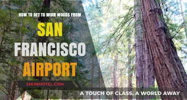 From SFO to Muir Woods: Your Ultimate Travel Guide