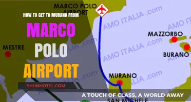 Travel Guide: Marco Polo Airport to Murano Island Easy Route