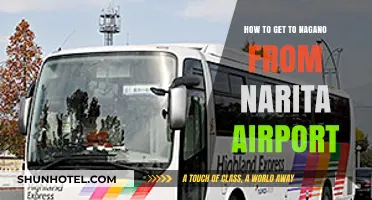 Travel Guide: Narita Airport to Nagano - Easy Transport Options