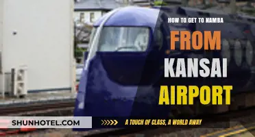 Easiest Ways to Travel from Kansai Airport to Namba, Osaka