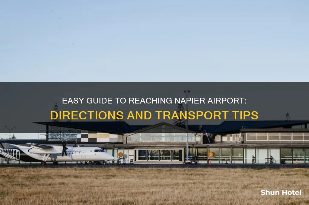 how to get to napier airport