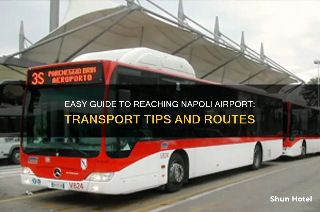 how to get to napoli airport