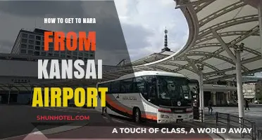 Travel Guide: Kansai Airport to Nara - Easy Transportation Options