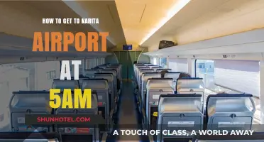 Early Morning Travel Guide: Reaching Narita Airport by 5 AM