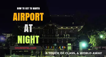 Navigating to Narita Airport: Nighttime Travel Tips and Routes