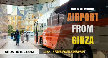 Easiest Ways to Travel from Ginza to Narita Airport