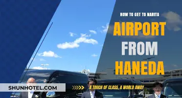 Traveling Between Tokyo Airports: Haneda to Narita Transfer Guide