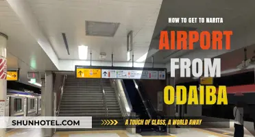 Traveling from Odaiba to Narita Airport: A Comprehensive Guide