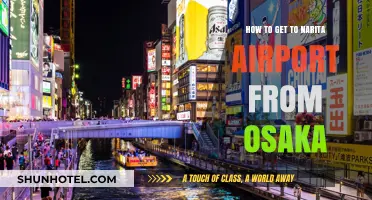 Traveling from Osaka to Narita Airport: Easy Transport Options