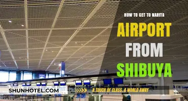 Easiest Routes: Shibuya to Narita Airport Travel Guide
