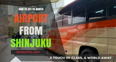 Travel Guide: Shinjuku to Narita Airport – Easy Transport Options