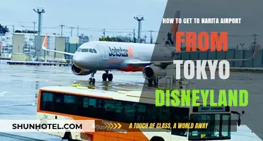 Traveling from Tokyo Disneyland to Narita Airport: Easy Transport Guide