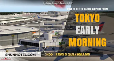 Early Morning Tokyo to Narita Airport: Quick, Easy Travel Tips
