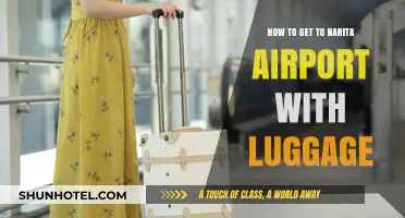 Easy Luggage Transport: Smooth Travel Tips to Narita Airport