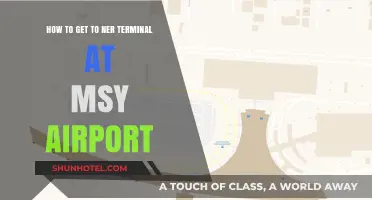 Navigating MSY Airport: Easy Guide to Reach NER Terminal
