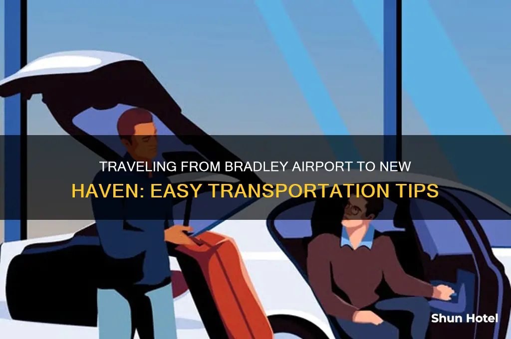 how to get to new haven from bradley airport