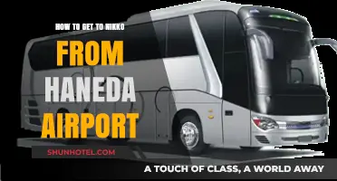 Travel Guide: Haneda Airport to Nikko - Easy Transport Tips