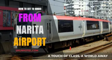 Travel Guide: Narita Airport to Nikko - Easy Transport Options