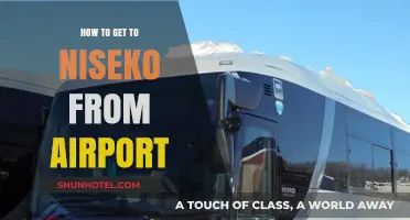 Traveling to Niseko: Easy Airport to Resort Transport Guide
