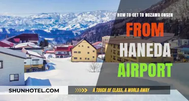 Travel Guide: Haneda Airport to Nozawa Onsen - Easy Steps
