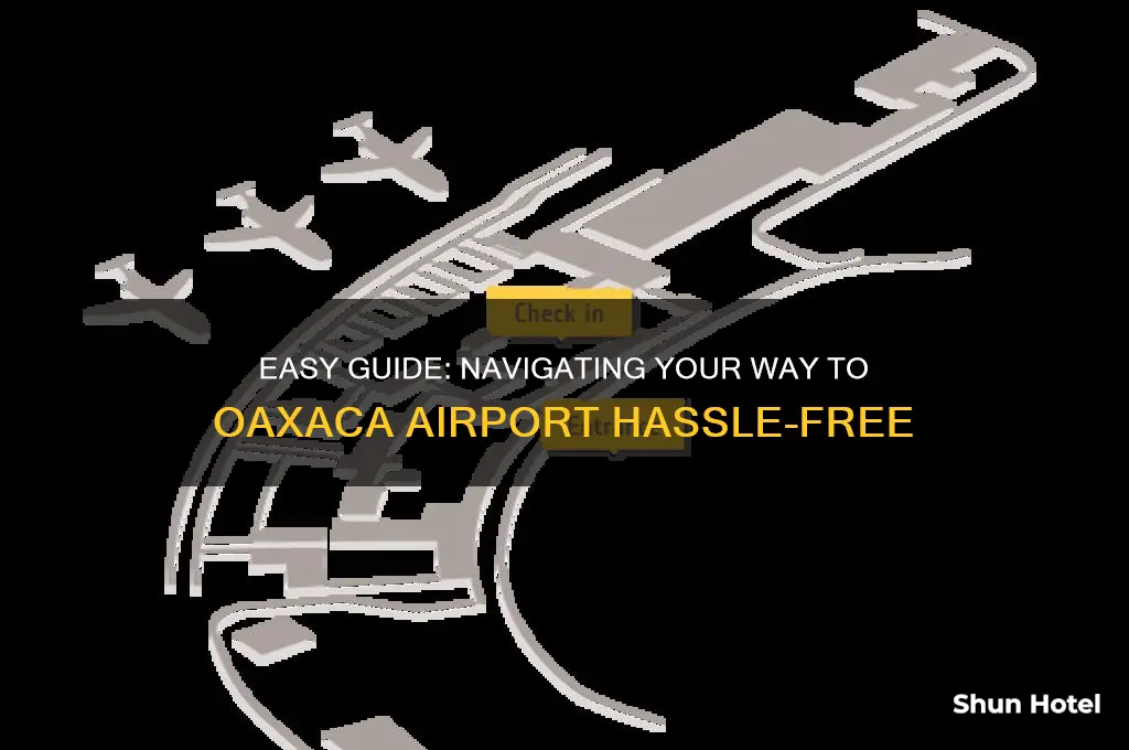 how to get to oaxaca airport